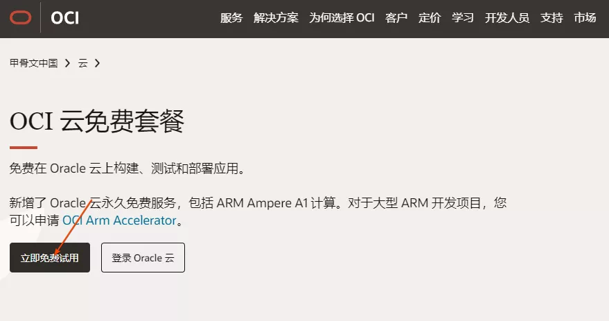 2023年最新甲骨文注册及申请免费 VPS 教程
